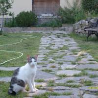 Bed & Breakfast Verdemare