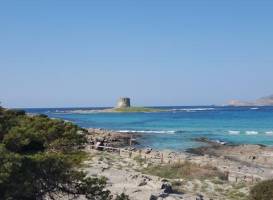 Casa vacanza Golfo dell'Asinara