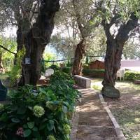 Villa Al Mirador