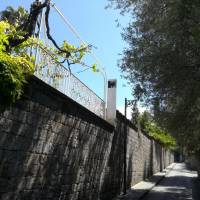 Muta House