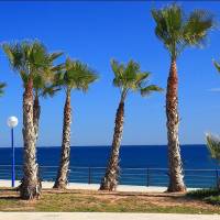 Holiday Home Estaca