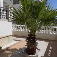Holiday home Casa Joshua