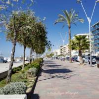 Villa Service - Apartamentos Mesol