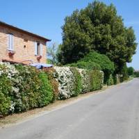 Appartamenti Fattoria la Casina