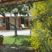 Podere Zelmira