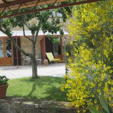 Podere Zelmira
