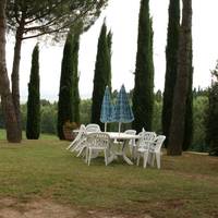Fattoria il Musarone
