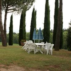 Fattoria il Musarone