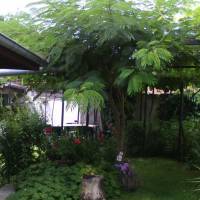Nenkovi Guest house