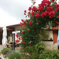 Sea View Family Hotel