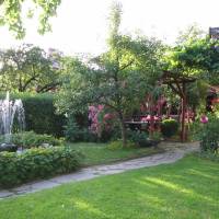 Dona Guest House - Horse Riding