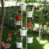 Guest House Proynovi