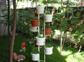 Guest House Proynovi