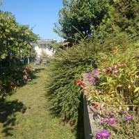 Guest House Sugar Sands