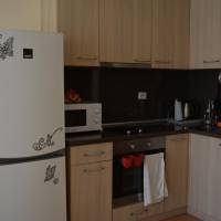Apartment Chateau- Aheloy