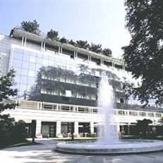 Radisson Blu (ex. Radisson Sas)