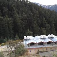 Dev Homestay