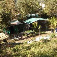 Eco Wild Camps Rajaji