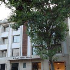 Africa Avenue GK - 1