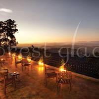 Forest Glade Resorts