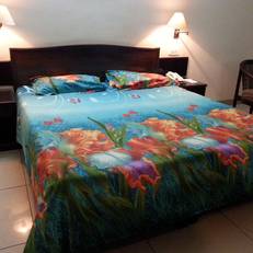 STARiHOTEL Mata Rani Road