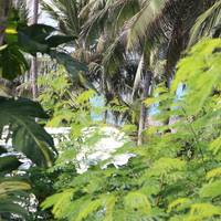 Johny's Beach House
