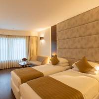 Sayaji Indore