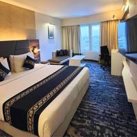 Sayaji Indore