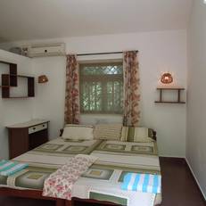 Boons Ark