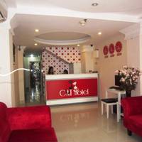 Cat Hotel