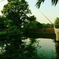 Garden Homestay