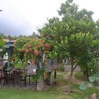 Evergreen Resort