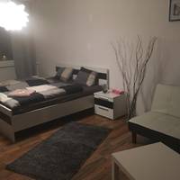 Apartment Usti
