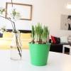 JustPrague Apartment
