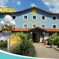 Hotel Roi Soleil Colmar