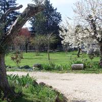 L'Olivier Chez Mame Marthe