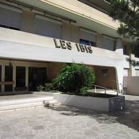 Les Ibis
