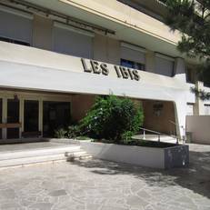 Les Ibis