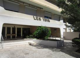 Les Ibis