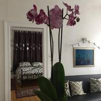 Chez Tante Germaine