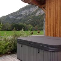 L'Erine des Alpes