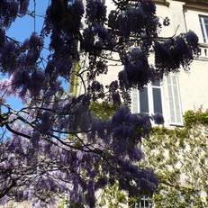 Chambres d'hotes Maison Auguste