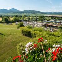 Hotel Barriere Ribeauville