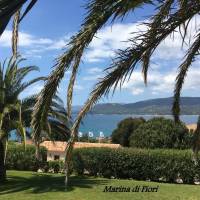 Marina di fiori