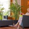 Residence Fleur De The