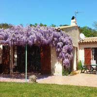 Mas des Vignes