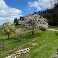 Le Domaine De Pairis