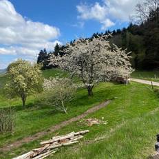 Le Domaine De Pairis