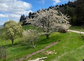 Le Domaine De Pairis