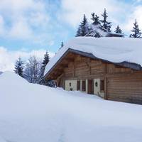 Chalet Alvine